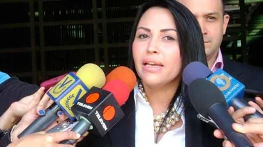"Si Amnistía ampara corrupto Gobierno sería el único interesado en aprobarla"