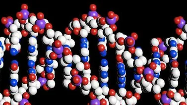 Nuevo sistema de lectura de ADN podría ayudar a entender la evolución humana