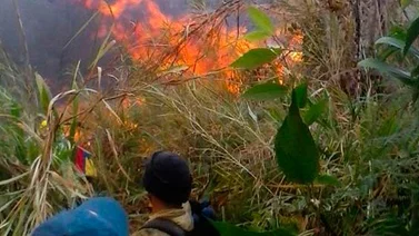 Combaten incendio en el Parque Nacional Henry Pittier