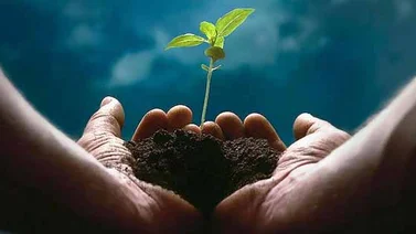 Cada 26 de marzo se celebra el Día Mundial del Clima