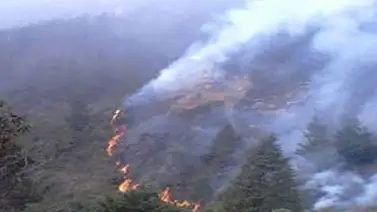Reportan incendio en el Parque Nacional Sierra La Culata Reportan incendio en el Parque Nacional Sierra La Culata