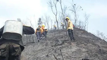 Continúan trabajos para extinguir incendio en Parque Nacional Macarao