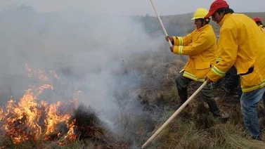 Incendios siguen en aumento por la sequía