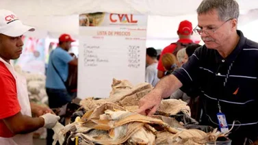 800 mil kilos de pescado han sido distribuidos en feria socialista