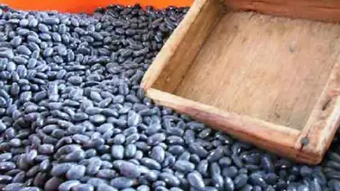 Detienen a gerente de empresa mixta socialista por venta ilícita de caraotas Detienen a gerente de empresa mixta socialista por venta ilícita de caraotas