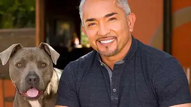 Piden que National Geographic deje de transmitir a "El encantador de perros" Piden que National Geographic deje de transmitir a "El encantador de perros"