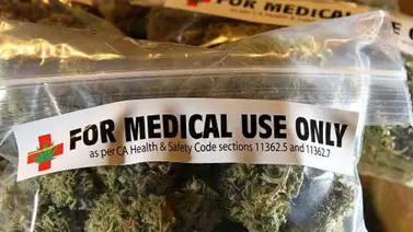 Florida aprueba expansión del uso de marihuana en pacientes terminales Florida aprueba expansión del uso de marihuana en pacientes terminales