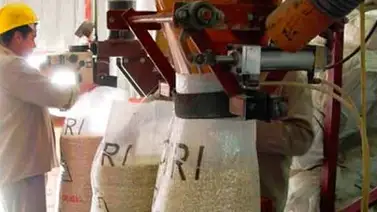 Fetraharina: La crisis se va a agudizar porque no ha llegado el trigo Fetraharina: La crisis se va a agudizar porque no ha llegado el trigo