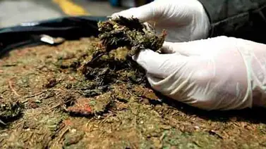 Empleado de Pdvsa Industrial es apresado por traficar drogas en Delta Amacuro Empleado de Pdvsa Industrial es apresado por traficar drogas en Delta Amacuro