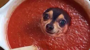 Estas imágenes te dejarán el cerebro "frito" (+Fotos) Estas imágenes te dejarán el cerebro "frito" (+Fotos)