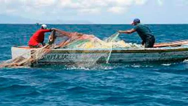 Faja Pesquera y Acuícola promoverá pesca de atún en Nueva Esparta