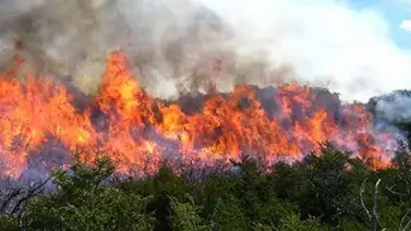 Incendios en Colombia por El Niño en 2015 costaron 137,7 millones de dólares Incendios en Colombia por El Niño en 2015 costaron 137,7 millones de dólares