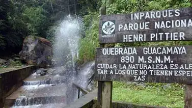 Parque Nacional Henri Pittier cumple 79 años Parque Nacional Henri Pittier cumple 79 años
