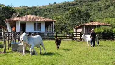 Preocupa silencio ante fiebre hemorrágica de Guanarito Preocupa silencio ante fiebre hemorrágica de Guanarito
