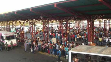 Multan con 2.500 UT a cuatro líneas de transporte público del terminal de Charallave