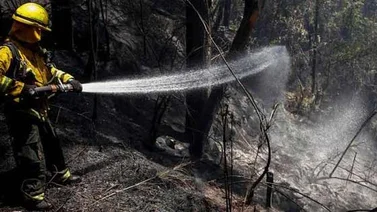 Extinguen por completo incendio forestal en los cerros de Bogotá
