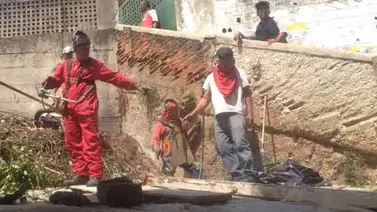 Realizan jornada de fumigación y prevención contra patas blancas