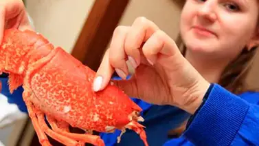 Comer mariscos podría ayudar a frenar el Alzheimer Comer mariscos podría ayudar a frenar el Alzheimer