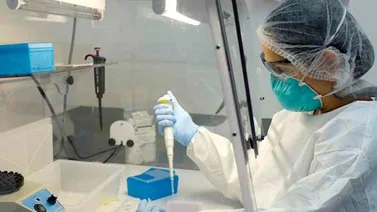 Inician trabajos para desarrollar vacuna del zika