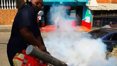 Activan campaña de fumigación en Mérida Activan campaña de fumigación en Mérida