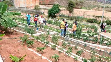 Base Agrícola del Gobierno impulsa la producción de alimentos Base Agrícola del Gobierno impulsa la producción de alimentos