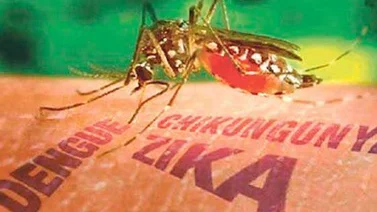 Realizan nueva jornada del plan contra el Zika, Dengue y Chikungunya