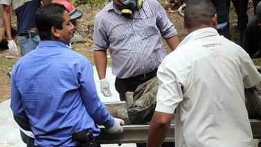 Tres hombres abatidos en situación irregular en Punto Fijo