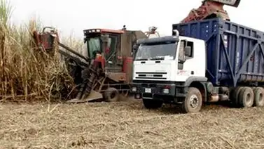 Pdvsa Agrícola cosechó más de 400 mil kilos de cereales en 2015 Pdvsa Agrícola cosechó más de 400 mil kilos de cereales en 2015
