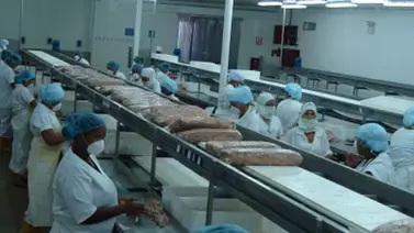 Inspeccionan empresa enlatadora de atún en Sucre