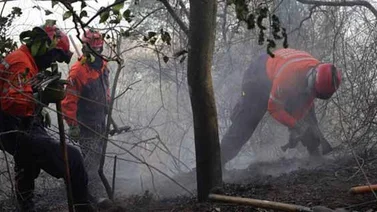 Seis hectáreas afectadas por incendio en el Warairepano