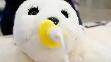 Presentan a la foca "Nuka", un peluche robotizado que mejora la salud Presentan a la foca "Nuka", un peluche robotizado que mejora la salud