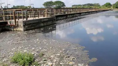Hallan cadáver en estanque La Mariposa Hallan cadáver en estanque La Mariposa