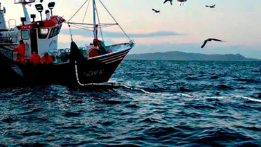 Ministro para la Pesca y Acuicultura inspecciona fábrica Fextun en Sucre