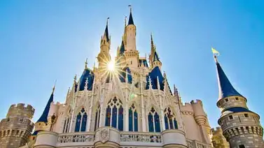 Niño mordido por serpiente en Disney World Niño mordido por serpiente en Disney World