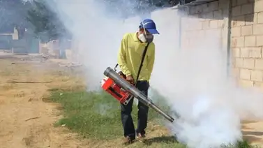Inician plan nacional de fumigación para controlar el Zika Inician plan nacional de fumigación para controlar el Zika