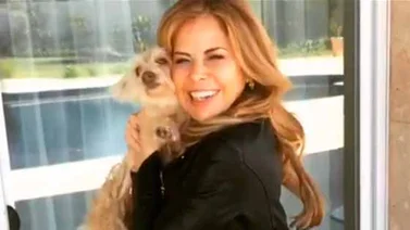 Apareció la perrita perdida de Gloria Trevi