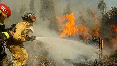 Alerta en Chile por 11 incendios forestales en varias regiones