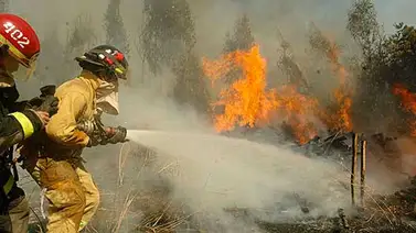 Alerta en Chile por 11 incendios forestales en varias regiones Alerta en Chile por 11 incendios forestales en varias regiones
