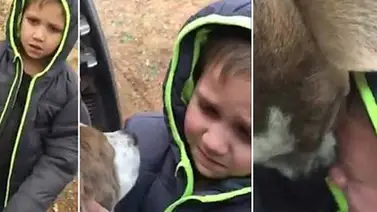El emotivo encuentro entre un perro y su dueño El emotivo encuentro entre un perro y su dueño