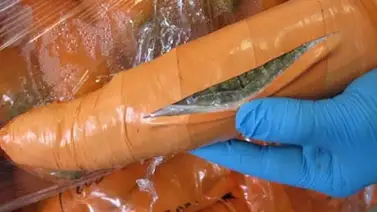 Decomisan una tonelada de marihuana oculta en zanahorias falsas Decomisan una tonelada de marihuana oculta en zanahorias falsas