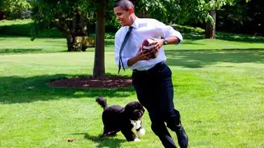 Detienen a un hombre por tratar de secuestrar al perro de Obama Detienen a un hombre por tratar de secuestrar al perro de Obama