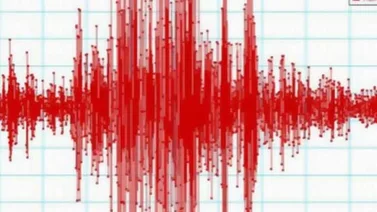 El primer temblor del año 2016 se registró en Mérida