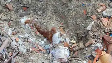 Rescatado de los escombros del alud un joven que llevaba 67 horas enterrado Rescatado de los escombros del alud un joven que llevaba 67 horas enterrado