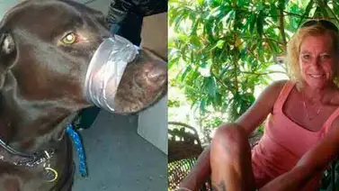 Mujer es acusada por amordazar a su perro y publicar la foto en Facebook Mujer es acusada por amordazar a su perro y publicar la foto en Facebook