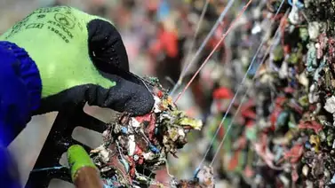 Regresan los chicles al muro en Seattle tras retirar miles Regresan los chicles al muro en Seattle tras retirar miles