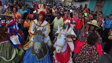 La burriquita llega este viernes al estado Miranda