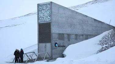 Existe un búnker bajo hielo que almacena alimentos para el futuro
