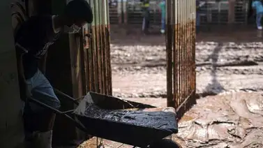 Rebajan a 19 la cifra desaparecidos por riada en Brasil Rebajan a 19 la cifra desaparecidos por riada en Brasil