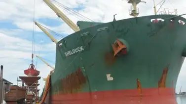 30 mil toneladas de azúcar llegaron a Puerto Cabello 30 mil toneladas de azúcar llegaron a Puerto Cabello