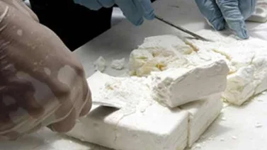 Condenan 17 años a dos hombres por ocultamiento de 490 panelas de cocaína